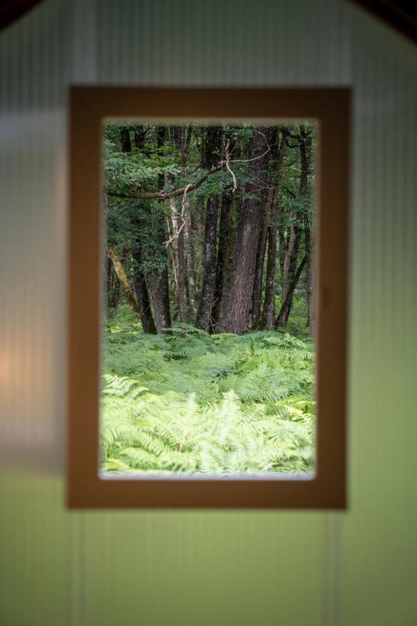 Camping Bois De St Hilaire Chalandray 外观 照片