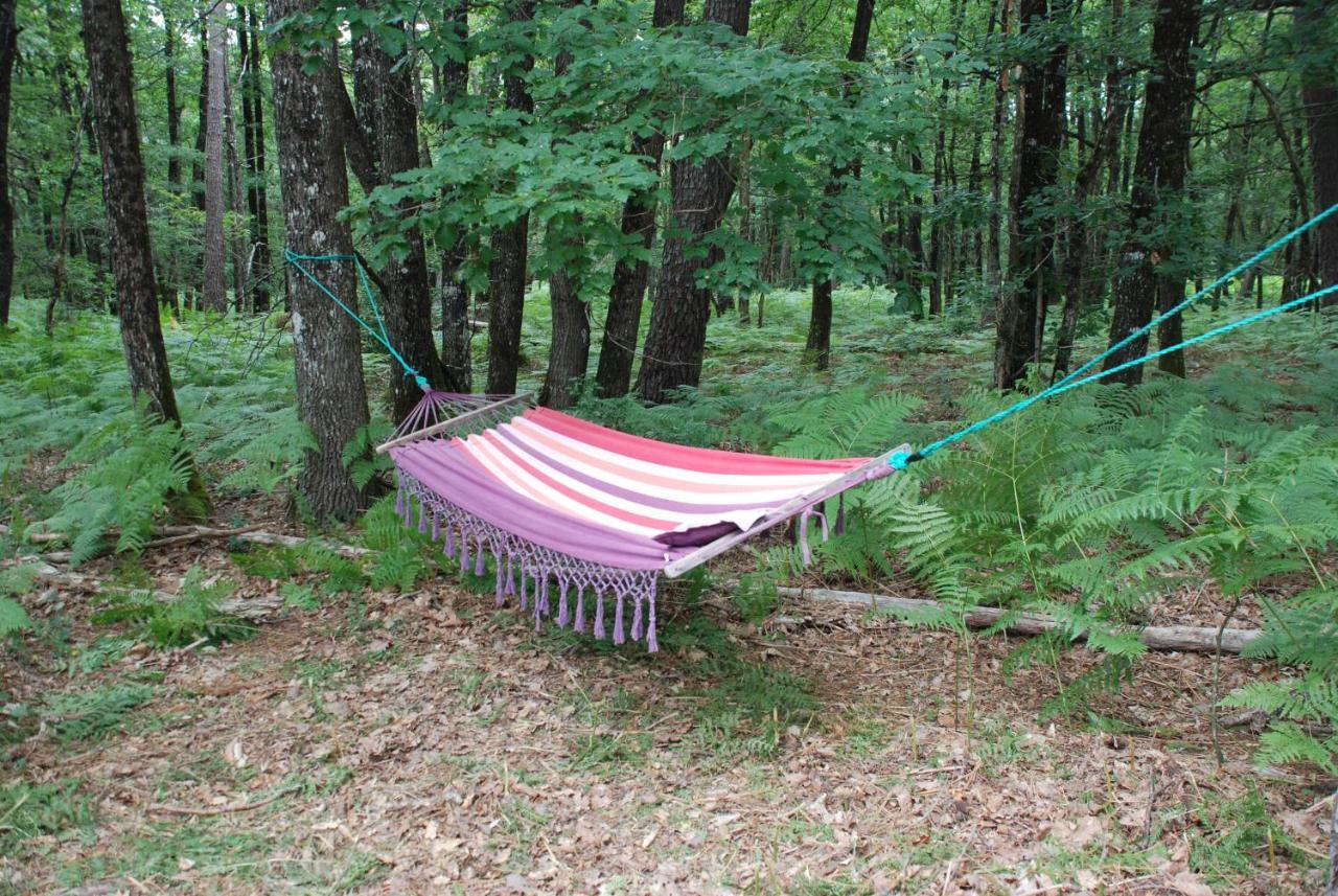 Camping Bois De St Hilaire Chalandray 外观 照片
