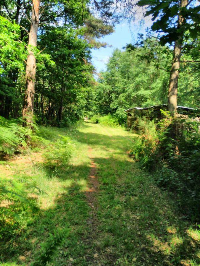 Camping Bois De St Hilaire Chalandray 外观 照片